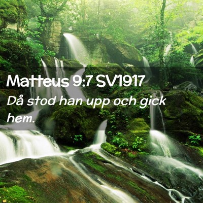 Picture 02 - Matteus 9:7 SV1917 - Då stod han upp och gick - Bible Verse Picture