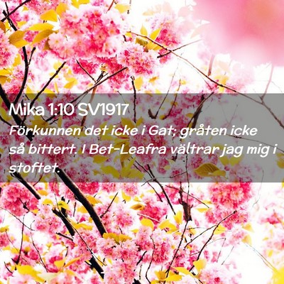 Picture 02 - Mika 1:10 SV1917 - Förkunnen det icke i Gat; gråten icke så - Bible Verse Picture