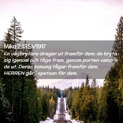 Picture 02 - Mika 2:13 SV1917 - En vägbrytare drager ut framför dem; de bryta - Bible Verse Picture