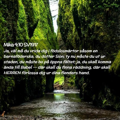 Picture 02 - Mika 4:10 SV1917 - Ja, väl må du vrida dig i födslosmärtor - Bible Verse Picture