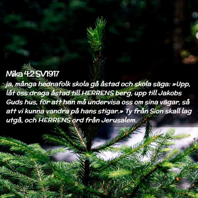 Picture 02 - Mika 4:2 SV1917 - ja, många hednafolk skola gå åstad och skola - Bible Verse Picture