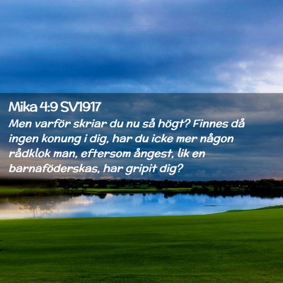 Picture 02 - Mika 4:9 SV1917 - Men varför skriar du nu så högt? Finnes då - Bible Verse Picture