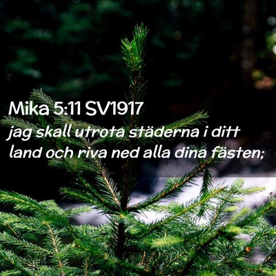Picture 02 - Mika 5:11 SV1917 - jag skall utrota städerna i ditt land och riva - Bible Verse Picture