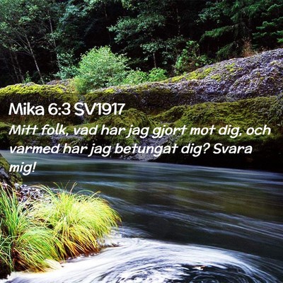 Picture 02 - Mika 6:3 SV1917 - Mitt folk, vad har jag gjort mot dig, och varmed - Bible Verse Picture
