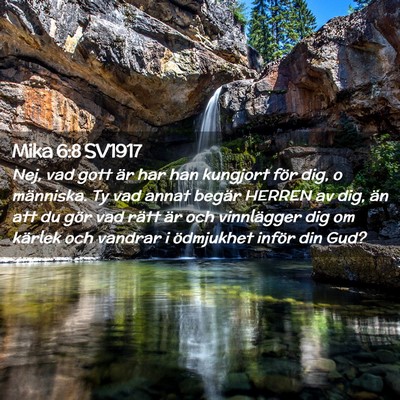 Picture 02 - Mika 6:8 SV1917 - Nej, vad gott är har han kungjort för dig, o - Bible Verse Picture
