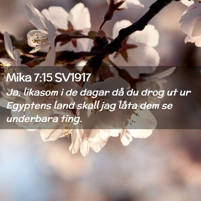 Picture 02 - Mika 7:15 SV1917 - Ja, likasom i de dagar då du drog ut ur Egyptens - Bible Verse Picture