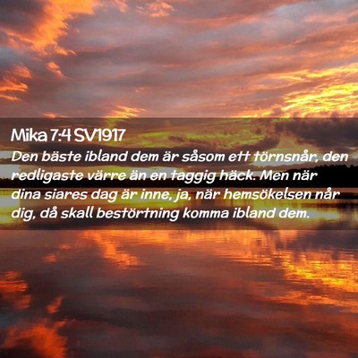 Picture 02 - Mika 7:4 SV1917 - Den bäste ibland dem är såsom ett törnsnår, - Bible Verse Picture