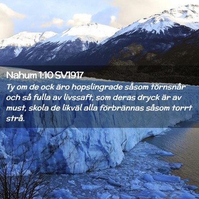 Picture 02 - Nahum 1:10 SV1917 - Ty om de ock äro hopslingrade såsom törnsnår - Bible Verse Picture