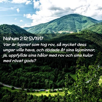 Picture 02 - Nahum 2:12 SV1917 - Var är lejonet som tog rov, så mycket dess - Bible Verse Picture