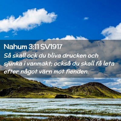 Picture 02 - Nahum 3:11 SV1917 - Så skall ock du bliva drucken och sjunka i - Bible Verse Picture
