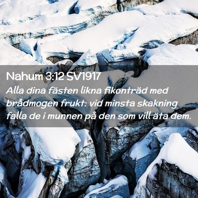 Picture 02 - Nahum 3:12 SV1917 - Alla dina fästen likna fikonträd med brådmogen - Bible Verse Picture