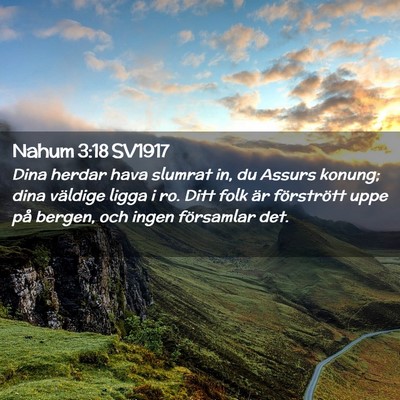 Picture 02 - Nahum 3:18 SV1917 - Dina herdar hava slumrat in, du Assurs konung; - Bible Verse Picture