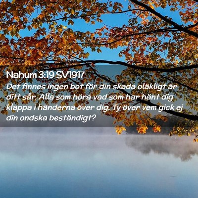 Picture 02 - Nahum 3:19 SV1917 - Det finnes ingen bot för din skada oläkligt är - Bible Verse Picture