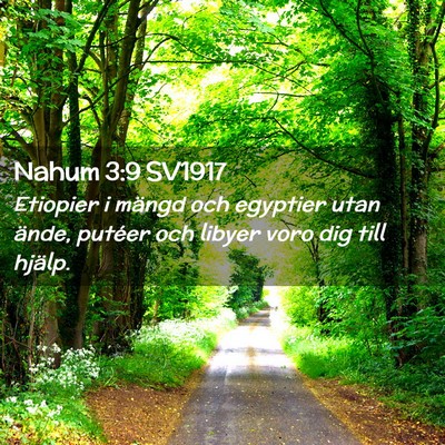 Picture 02 - Nahum 3:9 SV1917 - Etiopier i mängd och egyptier utan ände, - Bible Verse Picture
