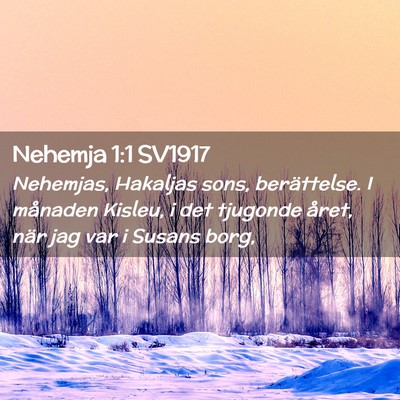 Picture 02 - Nehemja 1:1 SV1917 - Nehemjas, Hakaljas sons, berättelse. I månaden - Bible Verse Picture