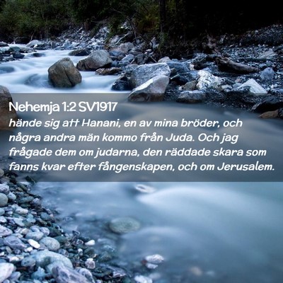 Picture 02 - Nehemja 1:2 SV1917 - hände sig att Hanani, en av mina bröder, och - Bible Verse Picture