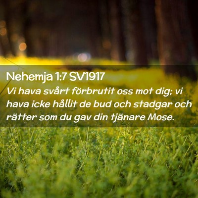 Picture 02 - Nehemja 1:7 SV1917 - Vi hava svårt förbrutit oss mot dig; vi hava - Bible Verse Picture
