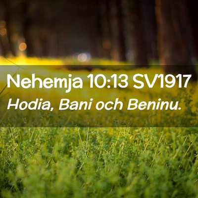 Picture 02 - Nehemja 10:13 SV1917 - Hodia, Bani och - Bible Verse Picture