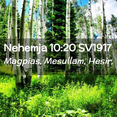 Picture 02 - Nehemja 10:20 SV1917 - Magpias, Mesullam, - Bible Verse Picture