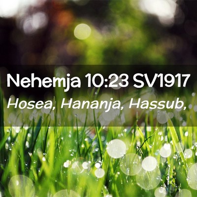 Picture 02 - Nehemja 10:23 SV1917 - Hosea, Hananja, - Bible Verse Picture