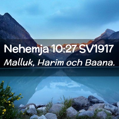 Picture 02 - Nehemja 10:27 SV1917 - Malluk, Harim och - Bible Verse Picture
