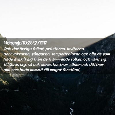 Picture 02 - Nehemja 10:28 SV1917 - Och det övriga folket, prästerna, leviterna, - Bible Verse Picture
