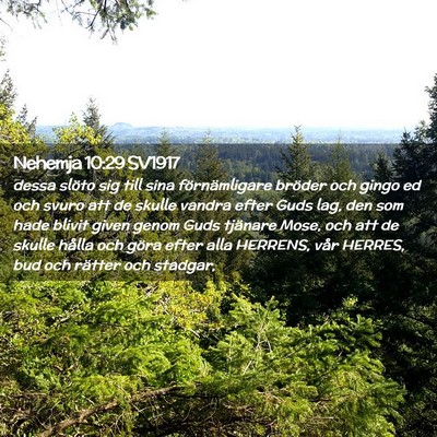 Picture 02 - Nehemja 10:29 SV1917 - dessa slöto sig till sina förnämligare bröder - Bible Verse Picture
