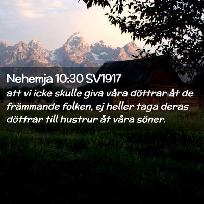 Picture 02 - Nehemja 10:30 SV1917 - att vi icke skulle giva våra döttrar åt de - Bible Verse Picture