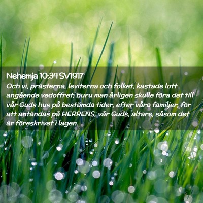 Picture 02 - Nehemja 10:34 SV1917 - Och vi, prästerna, leviterna och folket, kastade - Bible Verse Picture