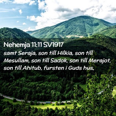 Picture 02 - Nehemja 11:11 SV1917 - samt Seraja, son till Hilkia, son till Mesullam, - Bible Verse Picture