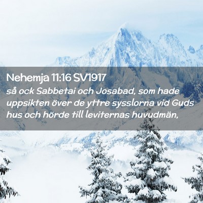 Picture 02 - Nehemja 11:16 SV1917 - så ock Sabbetai och Josabad, som hade uppsikten - Bible Verse Picture