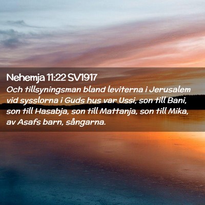 Picture 02 - Nehemja 11:22 SV1917 - Och tillsyningsman bland leviterna i Jerusalem - Bible Verse Picture