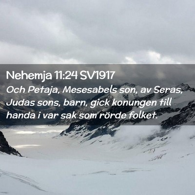Picture 02 - Nehemja 11:24 SV1917 - Och Petaja, Mesesabels son, av Seras, Judas sons, - Bible Verse Picture
