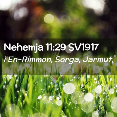 Picture 02 - Nehemja 11:29 SV1917 - i En-Rimmon, Sorga, - Bible Verse Picture