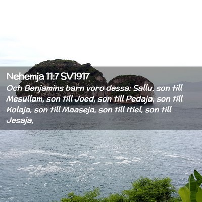 Picture 02 - Nehemja 11:7 SV1917 - Och Benjamins barn voro dessa: Sallu, son till - Bible Verse Picture