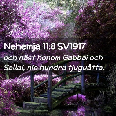 Picture 02 - Nehemja 11:8 SV1917 - och näst honom Gabbai och Sallai, nio hundra - Bible Verse Picture