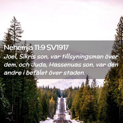 Picture 02 - Nehemja 11:9 SV1917 - Joel, Sikris son, var tillsyningsman över dem, - Bible Verse Picture