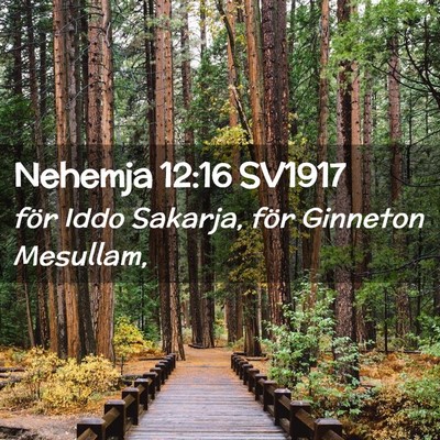 Picture 02 - Nehemja 12:16 SV1917 - för Iddo Sakarja, för Ginneton - Bible Verse Picture