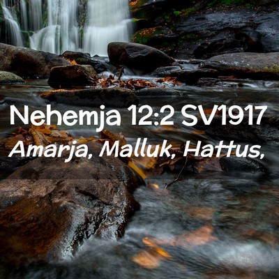 Picture 02 - Nehemja 12:2 SV1917 - Amarja, Malluk, - Bible Verse Picture