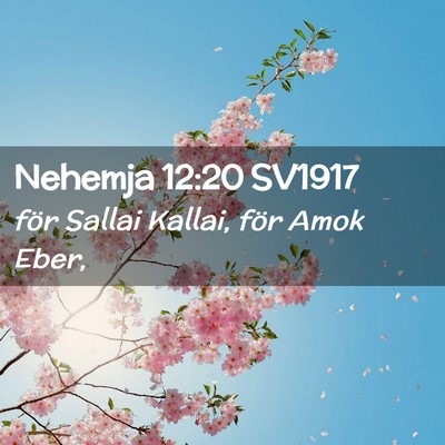 Picture 02 - Nehemja 12:20 SV1917 - för Sallai Kallai, för Amok - Bible Verse Picture