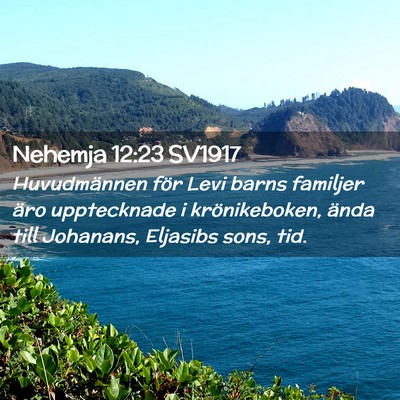 Picture 02 - Nehemja 12:23 SV1917 - Huvudmännen för Levi barns familjer äro - Bible Verse Picture