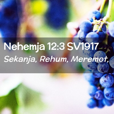 Picture 02 - Nehemja 12:3 SV1917 - Sekanja, Rehum, - Bible Verse Picture