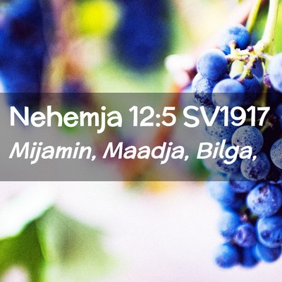 Picture 02 - Nehemja 12:5 SV1917 - Mijamin, Maadja, - Bible Verse Picture