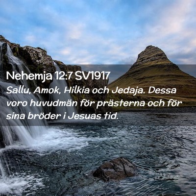 Picture 02 - Nehemja 12:7 SV1917 - Sallu, Amok, Hilkia och Jedaja. Dessa voro - Bible Verse Picture