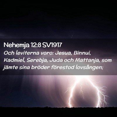 Picture 02 - Nehemja 12:8 SV1917 - Och leviterna voro: Jesua, Binnui, Kadmiel, - Bible Verse Picture