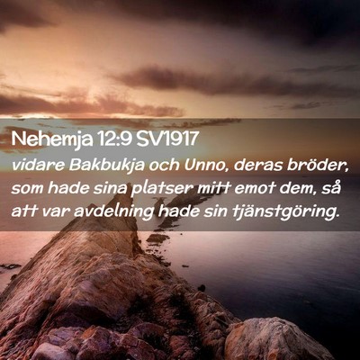 Picture 02 - Nehemja 12:9 SV1917 - vidare Bakbukja och Unno, deras bröder, som hade - Bible Verse Picture