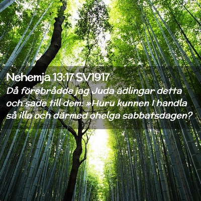 Picture 02 - Nehemja 13:17 SV1917 - Då förebrådde jag Juda ädlingar detta och - Bible Verse Picture
