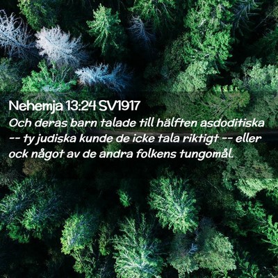 Picture 02 - Nehemja 13:24 SV1917 - Och deras barn talade till hälften asdoditiska - Bible Verse Picture