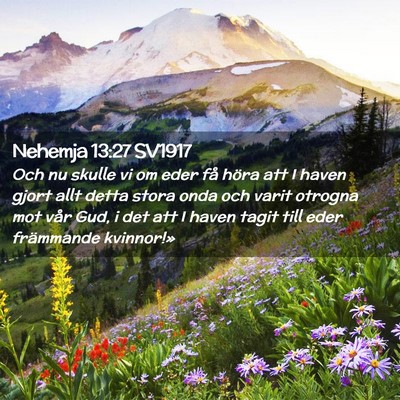 Picture 02 - Nehemja 13:27 SV1917 - Och nu skulle vi om eder få höra att I haven - Bible Verse Picture