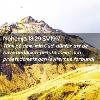 Picture 02 - Nehemja 13:29 SV1917 - Tänk på dem, min Gud, därför att de hava - Bible Verse Picture